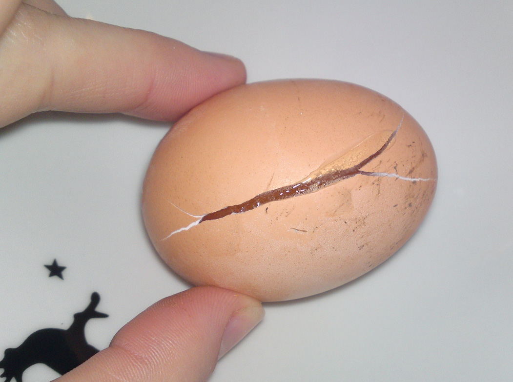 Das Ei mit dem Riss in der Eierschale