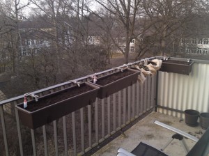 Balkonkästen Balkonkästen