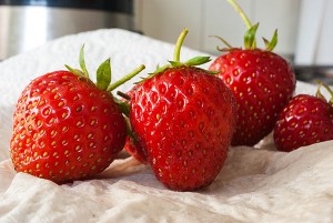 Erdbeeren Erdbeeren