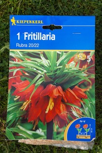 Kaiserkrone "Rubra" Kaiserkrone "Rubra"