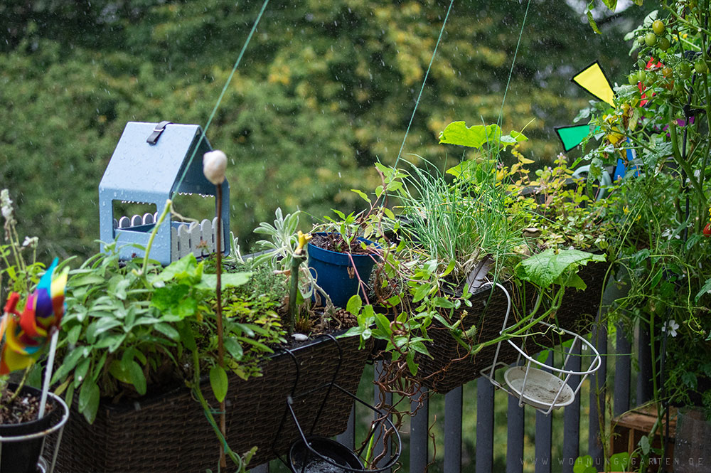 Regen auf dem Balkongarten