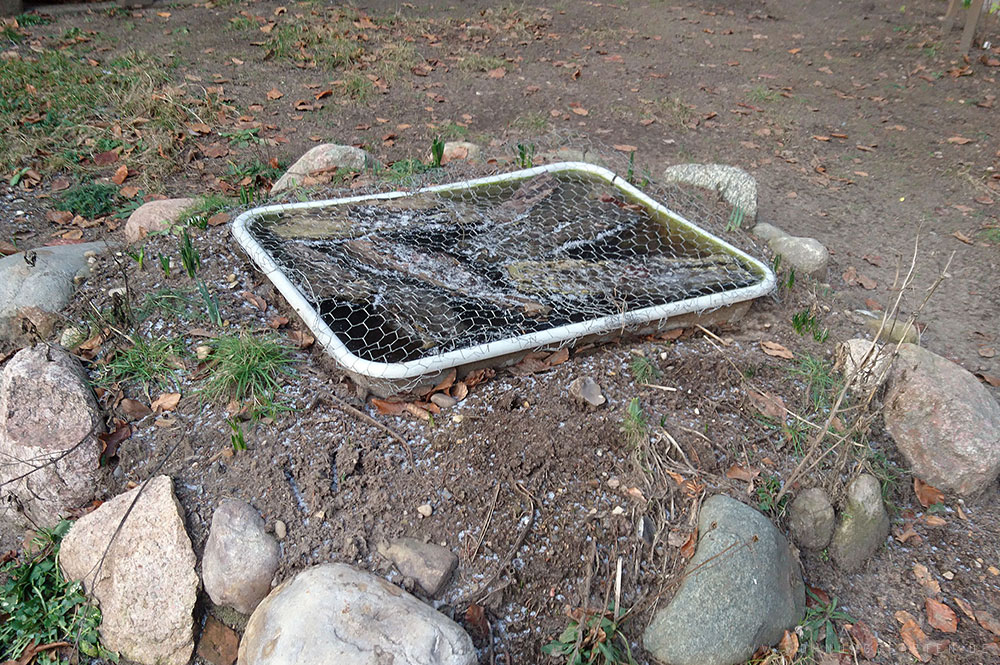 Wasserstelle für die Bienen Wasserstelle für die Bienen