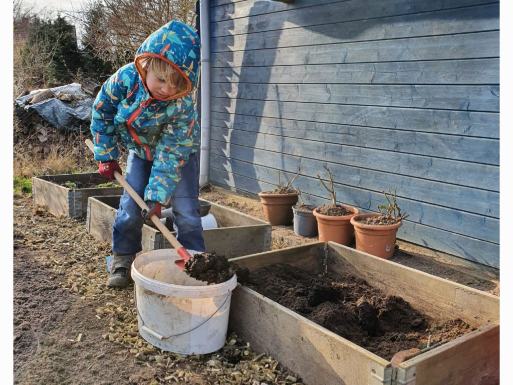 Tristan schaufelt Kompost in sein Beet